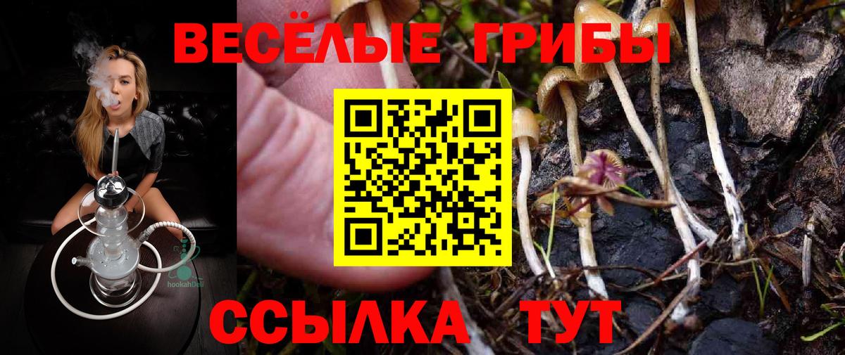 Ишим  Галлюциногенные грибы Psilocybe  Вход с VPN 